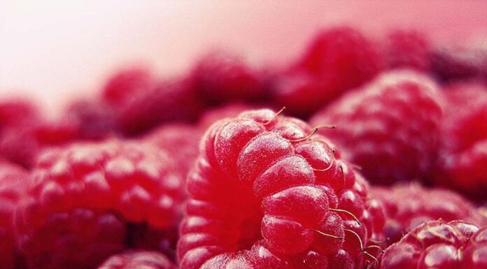 12 Classic Pilates Moves